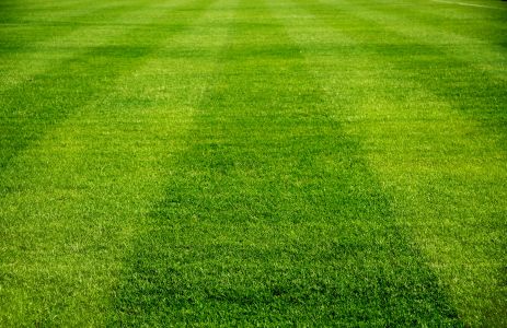 How to Keep Your Lawn Green During Pasco’s Hot Summer Months