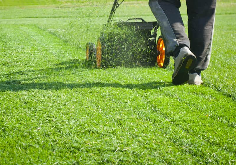 How Often Should You Mow Your Lawn in Pasco?