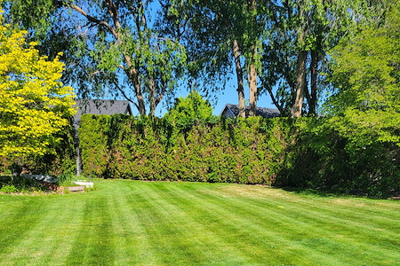 Spring Lawn Care Tips for Pasco Homeowners